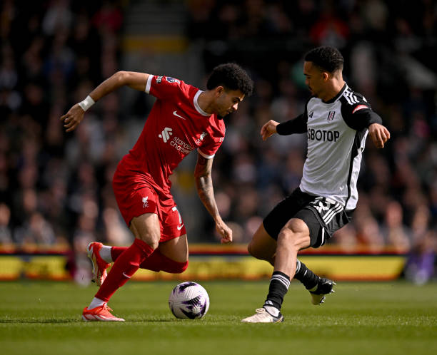 大利亚的比 大利亚的比