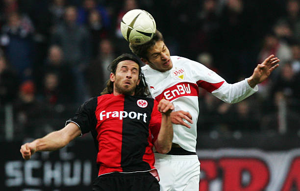 群全面开花 群全面开花